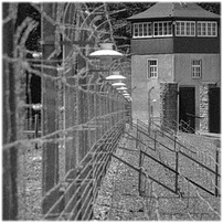 Buchenwald 3